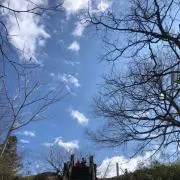 レゴックの画像