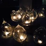 カジュの画像