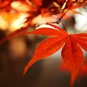 未定