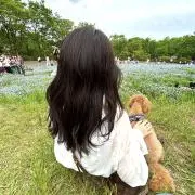 華の画像