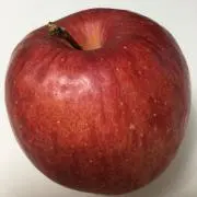 Appleの画像