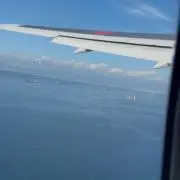 この画像