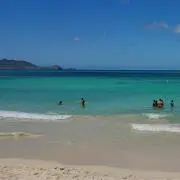 mahalo Mの画像