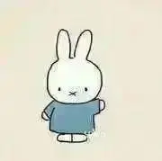 ゆら プロフ必読の画像