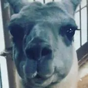 Aの画像