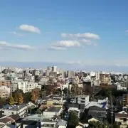 さくらんぼの画像