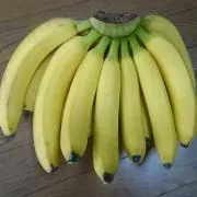 モゴさんの画像