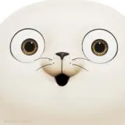 ホタテ※購入前プロフ必読の画像