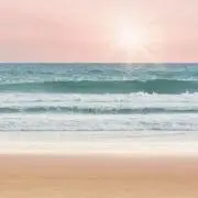 ブルースターの画像