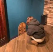 キウイの画像