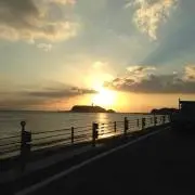 シュガー