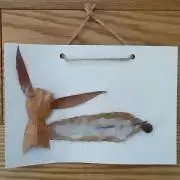 ケンタクの画像