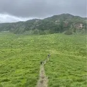 颯の画像