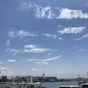 soranoaoの画像