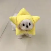 にこの画像