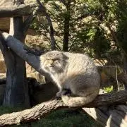 Nの画像