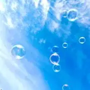 メロンの画像