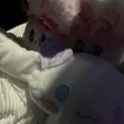 popoの画像