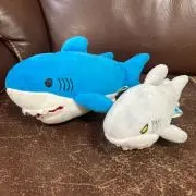 ホホジロさんさんの画像
