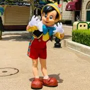 ひのきの画像