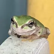 ヲの画像