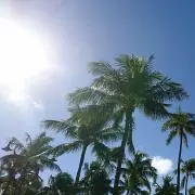 アッシーの画像