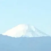 RBRの画像