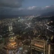 くぅの画像