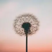 クロム☺︎