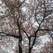 TETSUMARUの画像