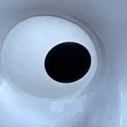 ちゃんこわの画像