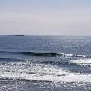 SV