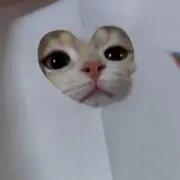 coronの画像