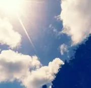 すずの画像