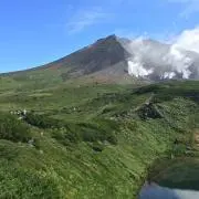 irodoriの画像
