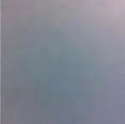 Takoyaたんの画像