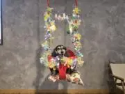 のぞみの画像