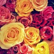 ♪LOVE♪の画像