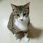 ☆ナナちゃん☆の画像