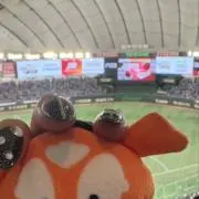 陽茉莉の画像