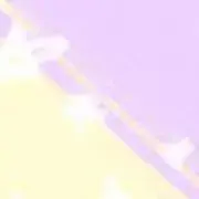 たまの画像