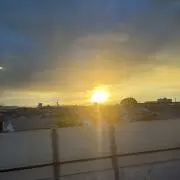 フリーマーケット市場