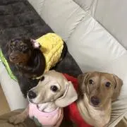ヒトミ