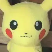 まんまるぴかちゅうの画像