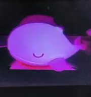 レインボーの画像