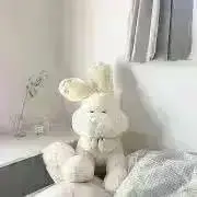 nicoの画像