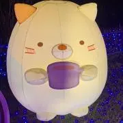 すみすみの画像