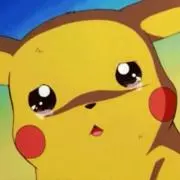 おもちの画像