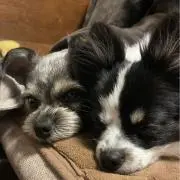 かきこの画像