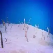 あつなみ